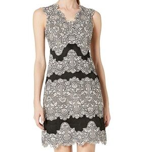 TAHARI Black & Blush Scalloped Edge Lace Sheath Dress Size 6 NEW